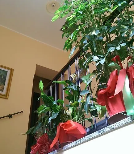 Bed & Breakfast La Filanda 4*